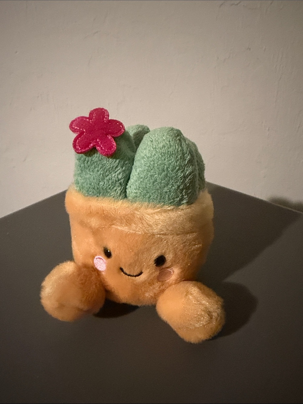 #337 Plush Cactus Toy with Pink Flower — Green & Tan Smiling Succulent